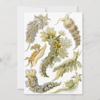 Sea Slugs by Ernst Haeckel, Vintage Nudibranchia Invitation