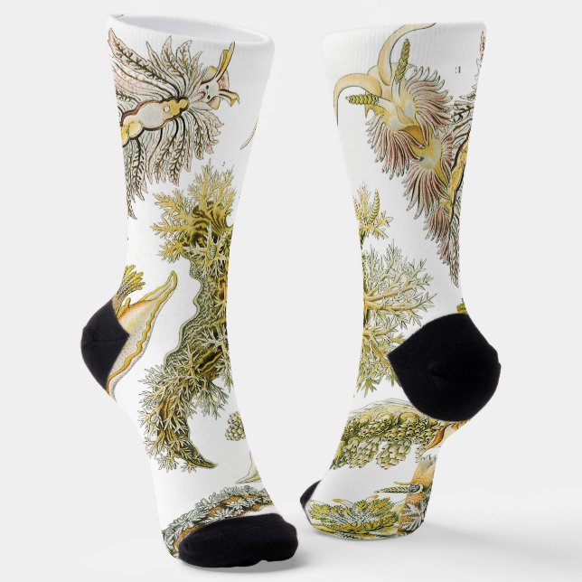 Sea Slugs by Ernst Haeckel, Vintage Nudibranchia Socks (Angled)