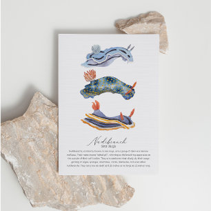 Sea Slugs Postcard