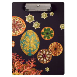 Sea Squirt Remix Clipboard