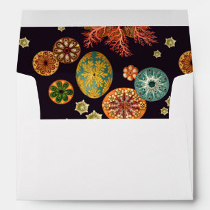 Sea Squirt Remix Envelope