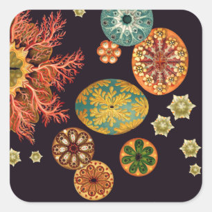 Sea Squirt Remix Stickers