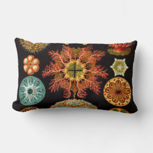 Sea Squirt Square Lumbar Pillow