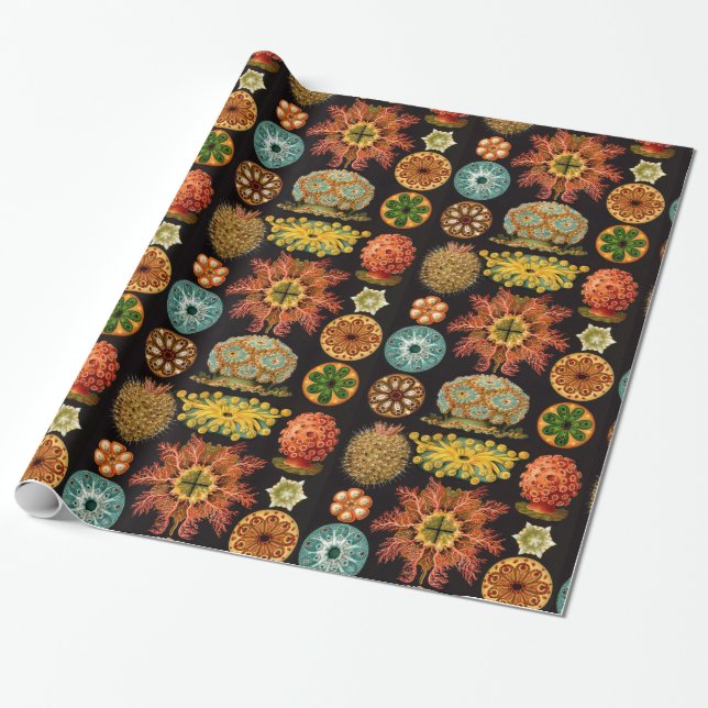 Sea Squirt Square Wrapping Paper (Unrolled)