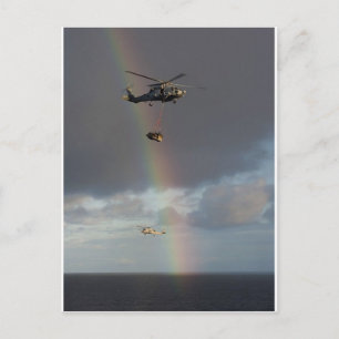 Sea Stallion Postcard