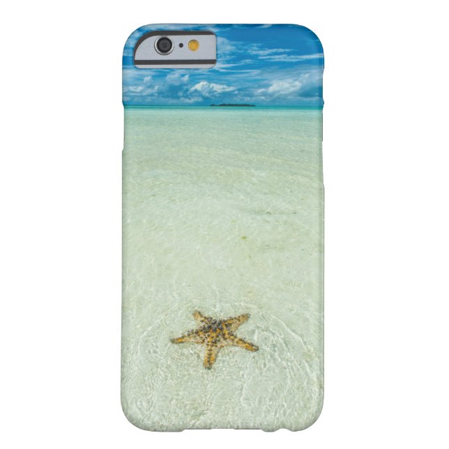 Sea star in shallow water, Palau Case-Mate iPhone Case (Back)