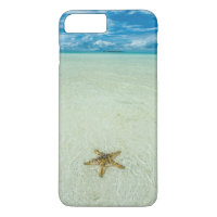 Sea star in shallow water, Palau