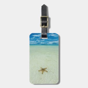 Sea star in shallow water, Palau Luggage Tag