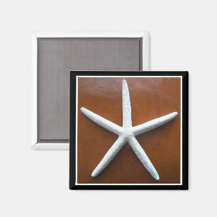 Sea Star Magnet