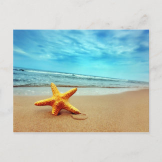 Sea Star On The Beach, Blue Sky, Ocean Postcard