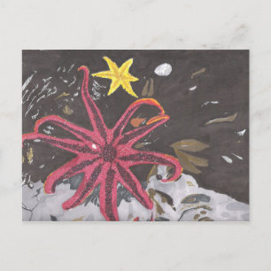 Sea Star Postcard
