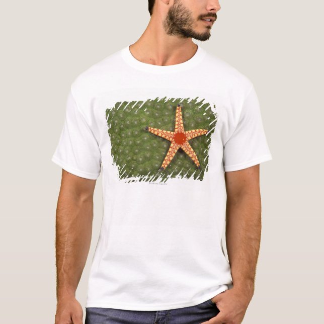 Sea Star T-Shirt (Front)