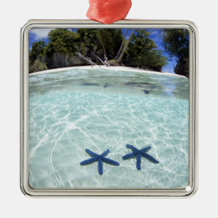 Sea stars, Rock Islands, Palau 2 Metal Tree Decoration