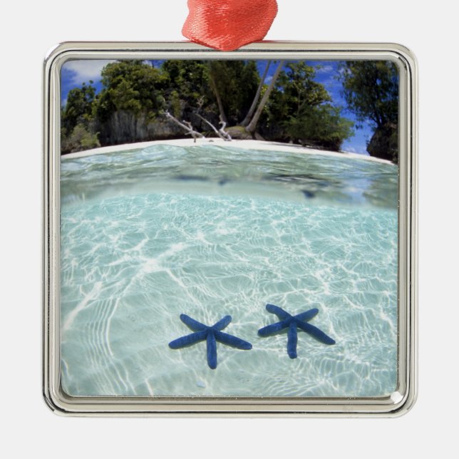 Sea stars, Rock Islands, Palau 2 Metal Tree Decoration (Front)