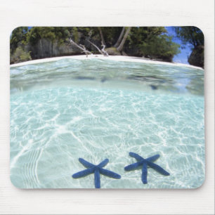 Sea stars, Rock Islands, Palau 2 Mouse Pad