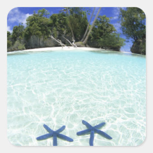 Sea stars, Rock Islands, Palau Square Sticker