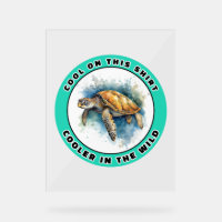Sea Turtle     