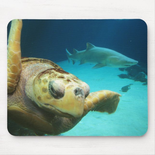 Sea Turtle and Shark Mousepad (Front)