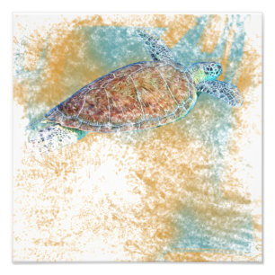 Sea Turtle Art   Photo Print