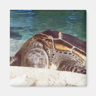 Sea Turtle Art Refrigerator Magnet