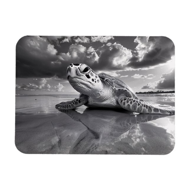 Sea Turtle Black and White Art Flexible Magnet (Horizontal)