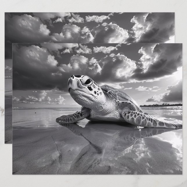 Sea Turtle Black and White Scrapbook Paper (Front/Back)