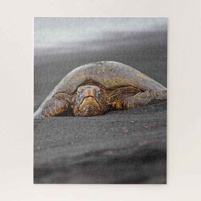 Sea Turtle Black Sand Beach Hawaii - 16x20- 520 pc Jigsaw Puzzle (Vertical)