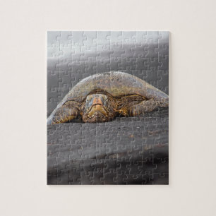 Sea Turtle  Black Sand Beach Hawaii 8x10 - 110 pc Jigsaw Puzzle