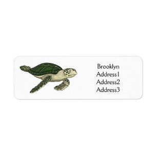Sea turtle cartoon illustration