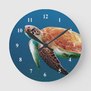 Sea Turtle Clock