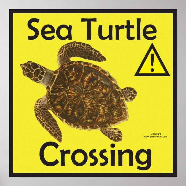 Sea Turtle Crossing Caution Poster (Front)