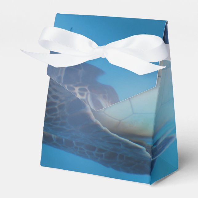 Sea Turtle Favour Box (Front Side)