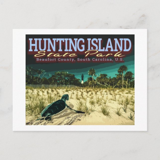 SEA TURTLE - HUNTING ISLAND - SOUTH CAROLINA US POSTCARD (Front)