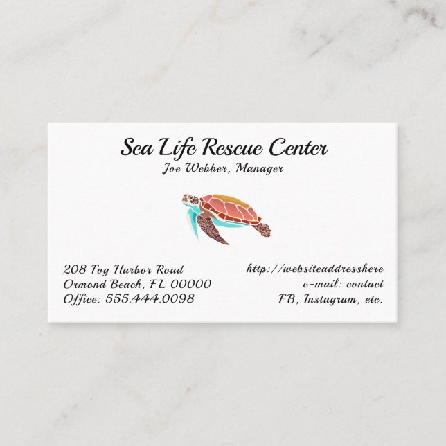 Sea Turtle Illustrated White Business Cards (Front)