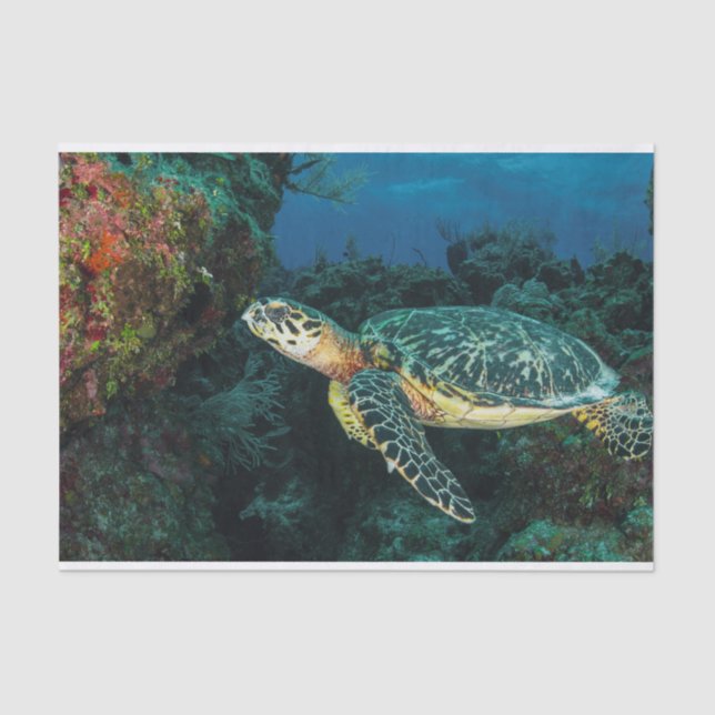 Sea Turtle in the Blue Ocean and Marine Life  Tissue Paper (Front)