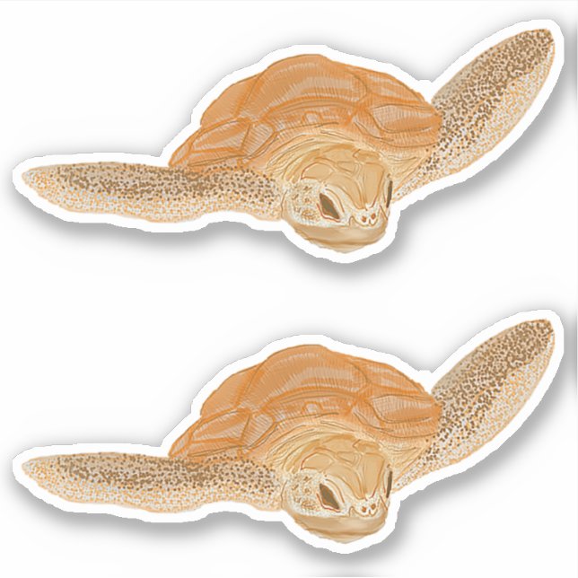 Sea Turtle in Water - transparent. (Front)