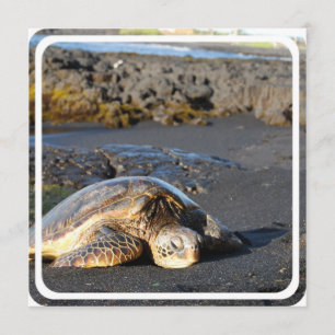 Sea Turtle Invitation