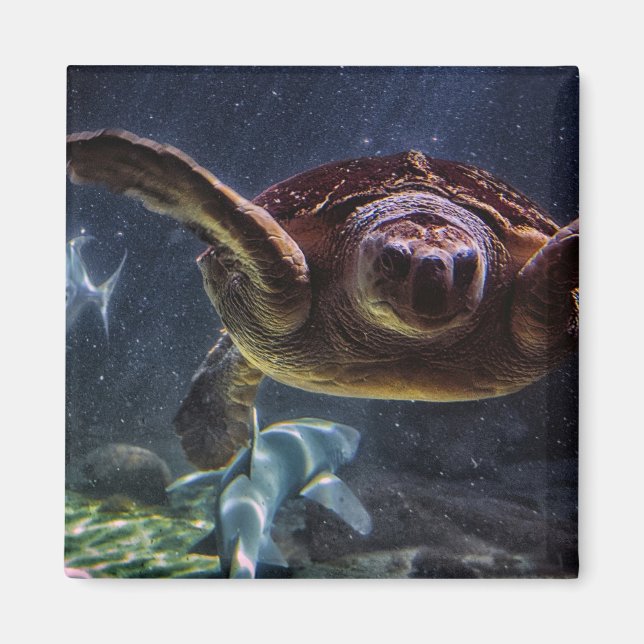 Sea Turtle Magnet (Front)