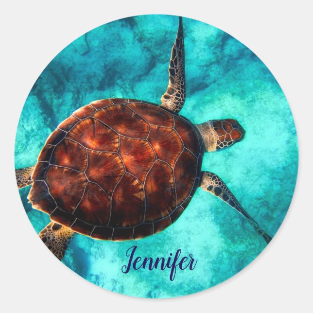 Sea Turtle Marine Life Classic Round Sticker (Front)