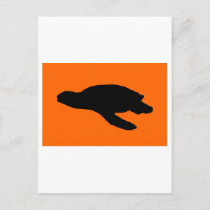 Sea Turtle Nesting Flag Postcard
