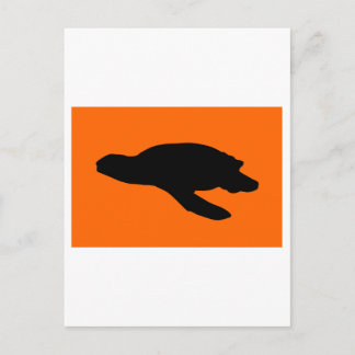 Sea Turtle Nesting Flag Postcard