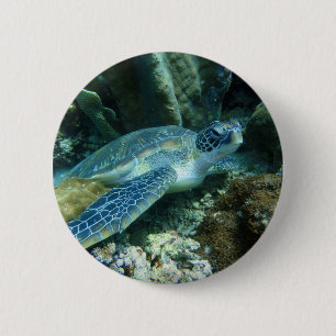 Sea Turtle on Seabed Photo 6 Cm Round Badge