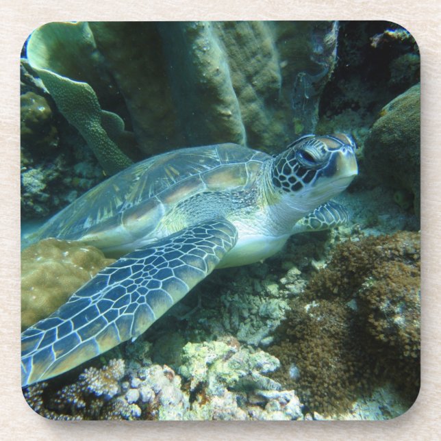 Sea Turtle on Seabed Photo Coaster (Front)
