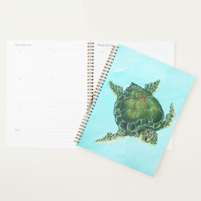 Sea Turtle Planner (Display)