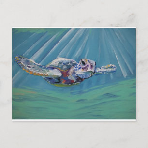 Sea turtle postcard
