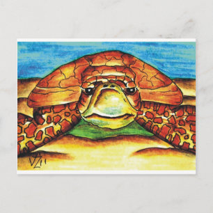 Sea Turtle Postcard