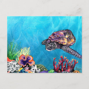Sea Turtle Postcard