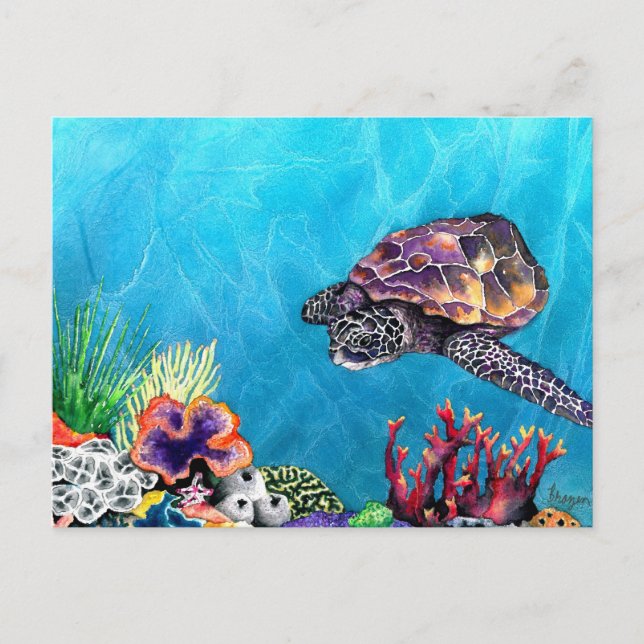 Sea Turtle Postcard (Front)