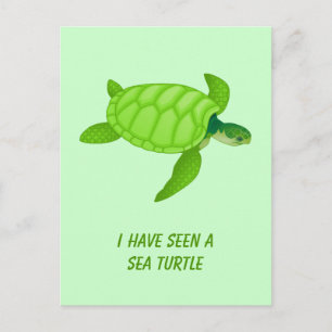 Sea Turtle Postcard