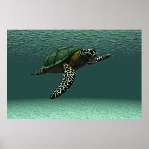 Sea turtle poster